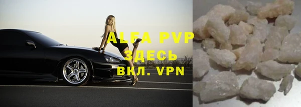 ПСИЛОЦИБИНОВЫЕ ГРИБЫ Корсаков