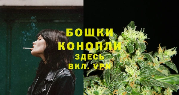 шишки Козловка