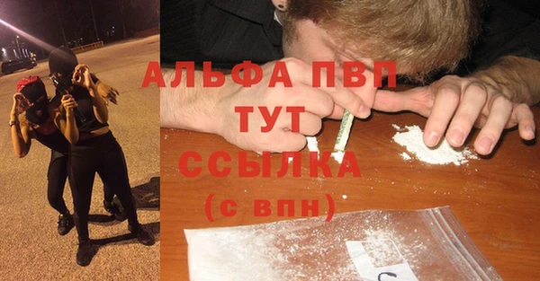 Альфа ПВП Кодинск